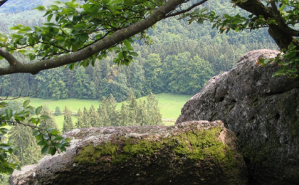 Přírodní park Rakovecké údolí